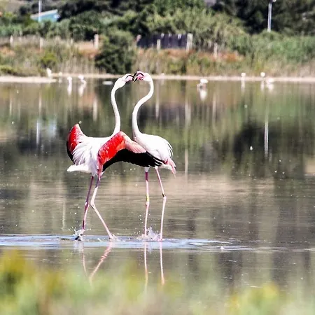 Gentarrubia Bed and breakfast