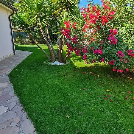 Bed and breakfast Gentarrubia 4*